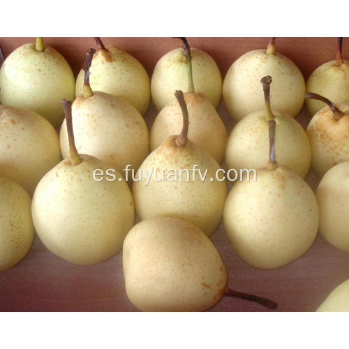 De Buena Calidad Sweet Fresh Ya Pear para la venta